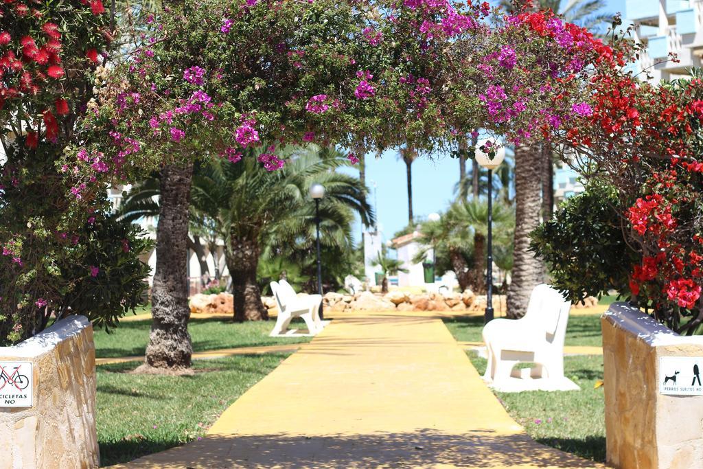 Apartamentos Oliver Playa Denia Bagian luar foto